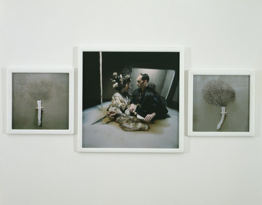 DRAWING RESTRAINT 9: Holographic Entry Point | Buffalo AKG Art Museum