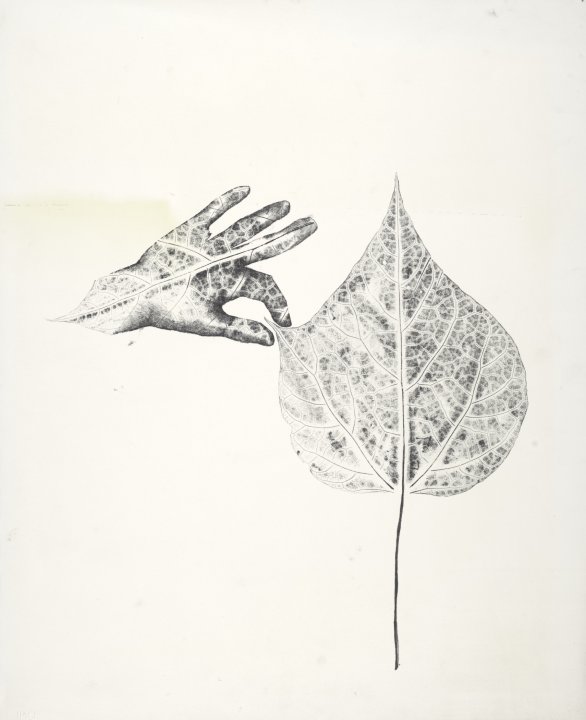 [Working proof for "Hand in Leaf"]