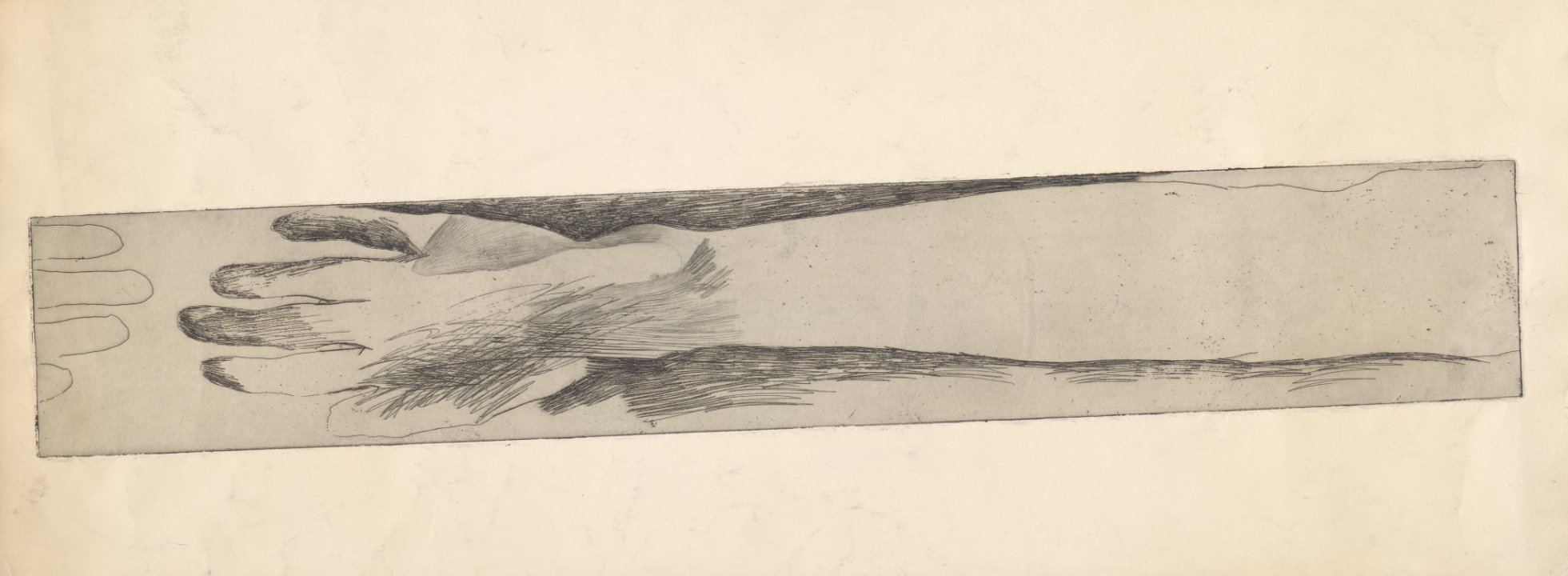 [Untitled]