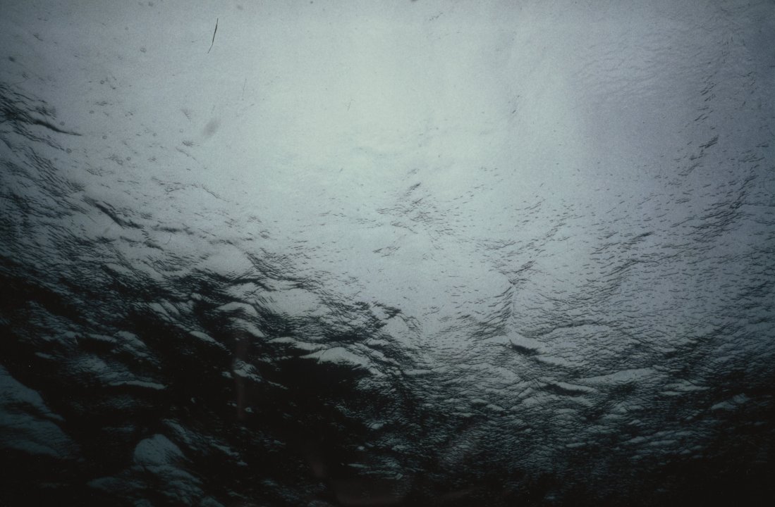 [Untitled]
