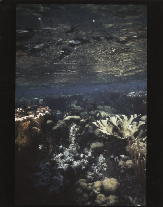 [Untitled]