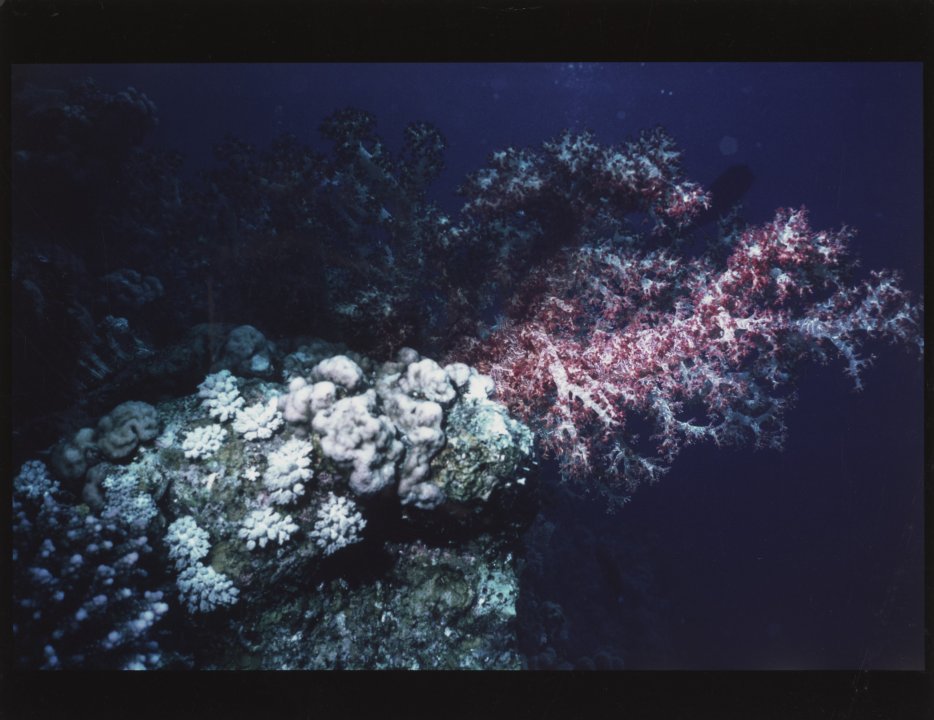 [Untitled]