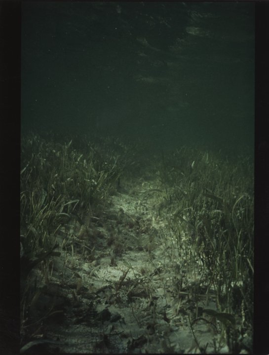 [Untitled]