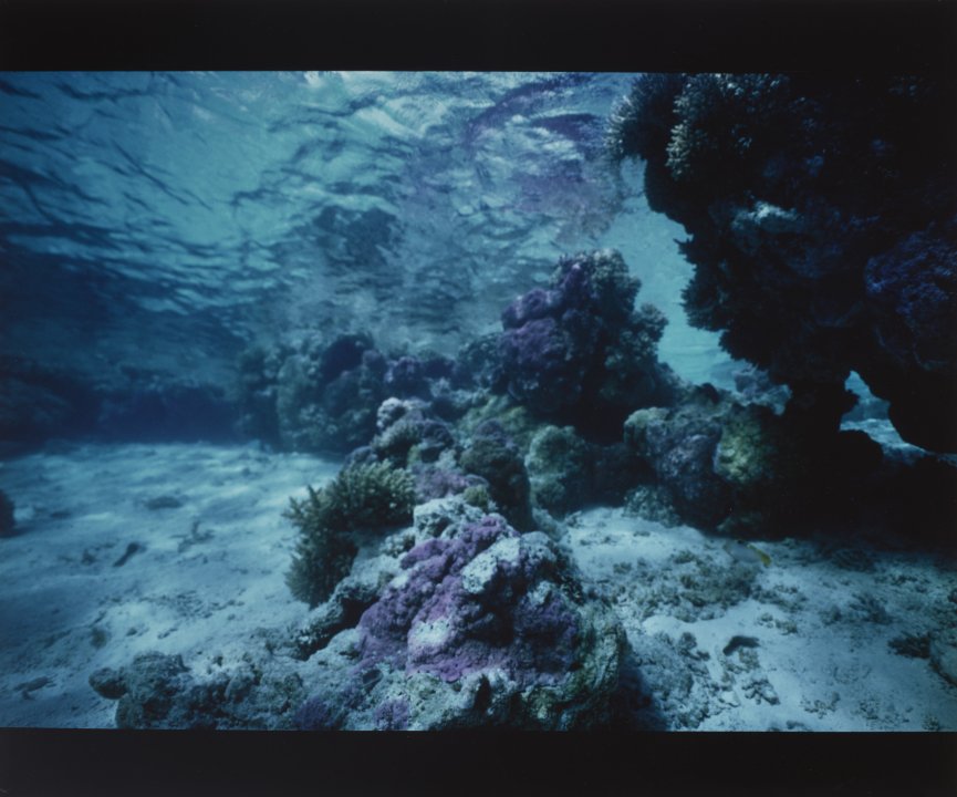 [Untitled]