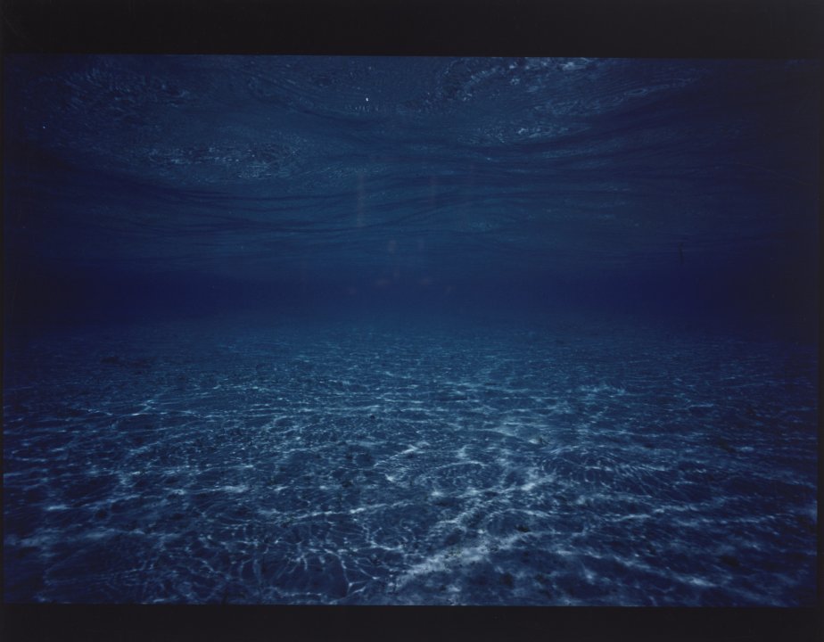 [Untitled]
