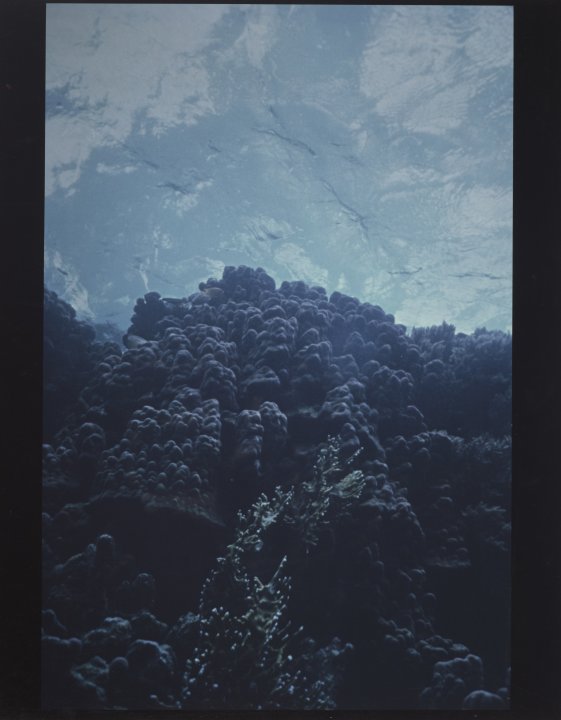 [Untitled]