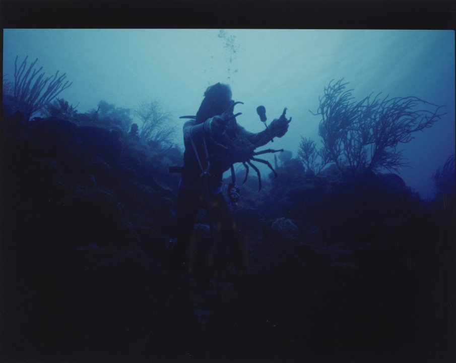 [Untitled]