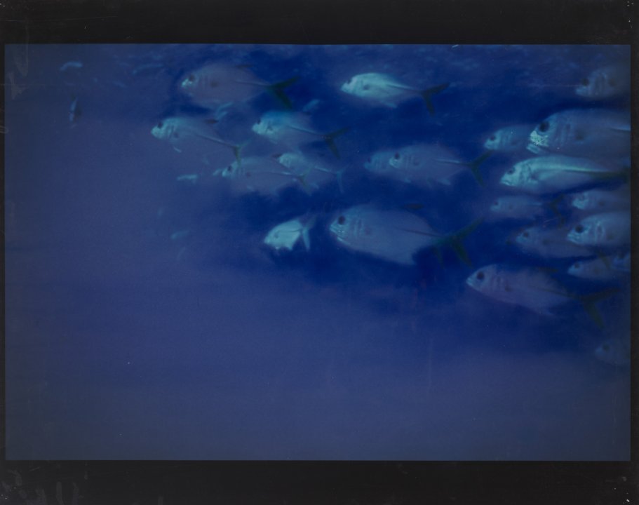 [Untitled]