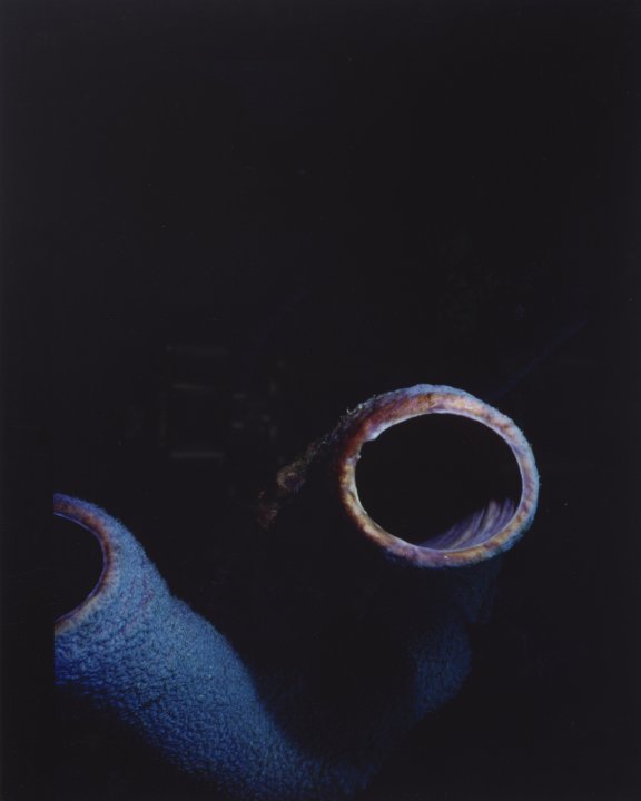 [Untitled]