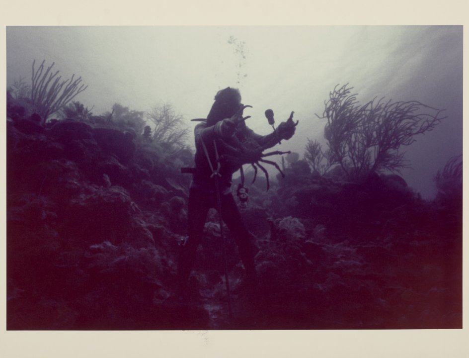 [Untitled]