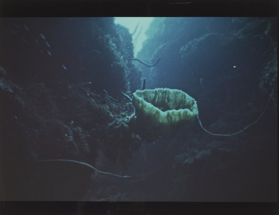 [Untitled]