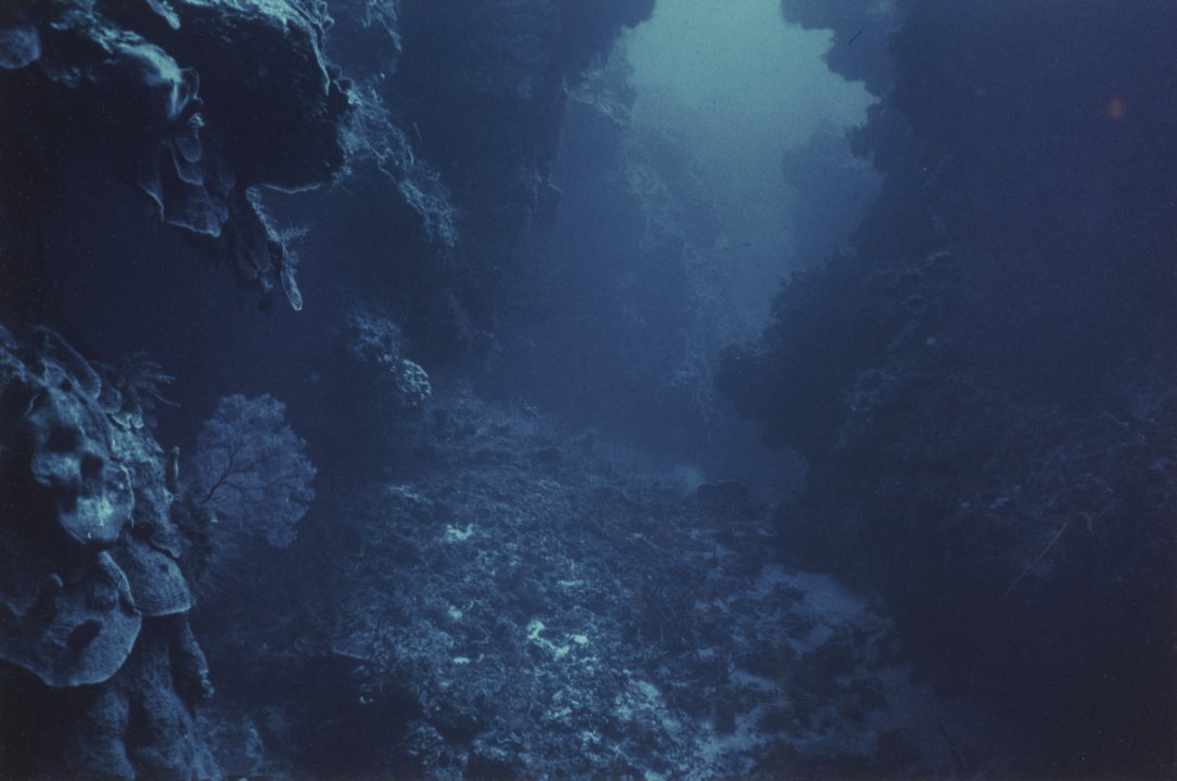 [Untitled]