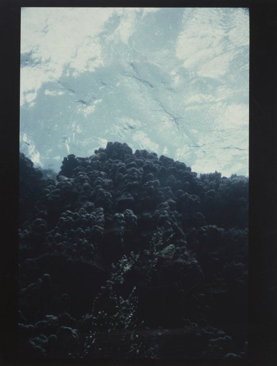 [Untitled]