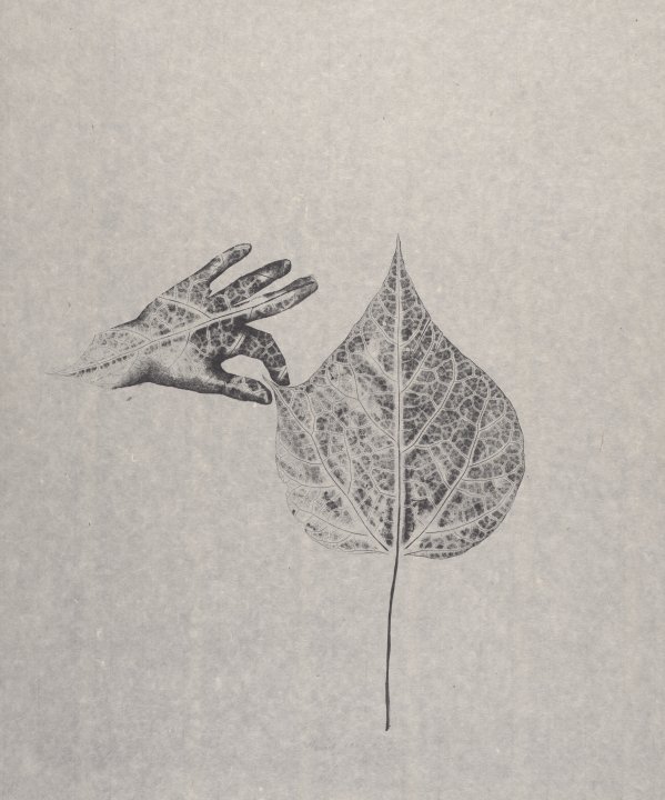 Hand in Leaf