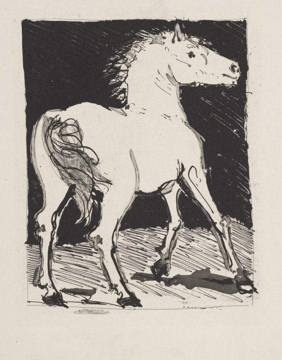 Le Cheval (Horse) from the portfolio Illustrations for Histoire Naturelle by Buffon