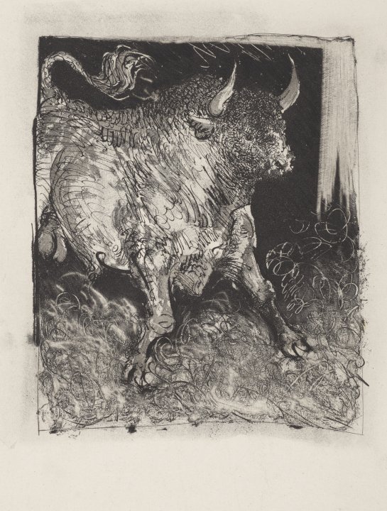 Le Taureau (The Bull) from the portfolio Illustrations for Histoire Naturelle by Buffon