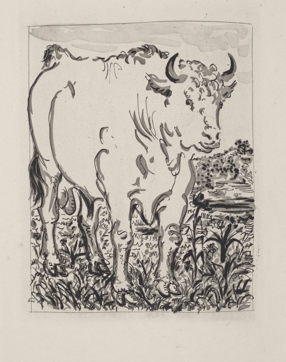 Le Boeuf (The Ox) from the portfolio Illustrations for Histoire Naturelle by Buffon