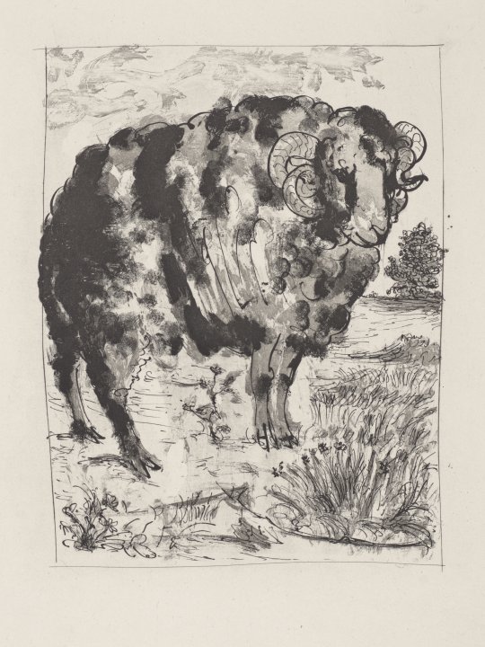 Le Bélier (The Ram) from the portfolio Illustrations for Histoire Naturelle by Buffon