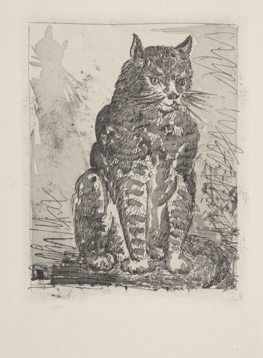 Le Chat (The Cat) from the portfolio Illustrations for Histoire Naturelle by Buffon