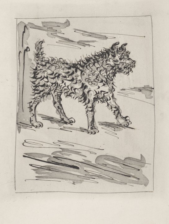 Le Chien (The Dog) from the portfolio Illustrations for Histoire Naturelle by Buffon