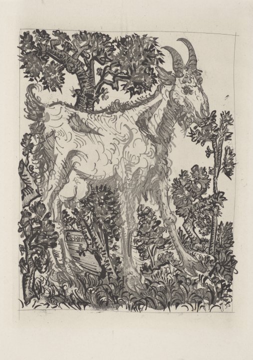 La Chèvre (The Goat) from the portfolio Illustrations for Histoire Naturelle by Buffon