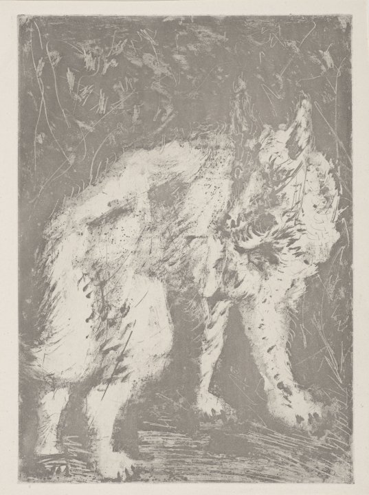 Le Loup (The Wolf) from the portfolio Illustrations for Histoire Naturelle by Buffon