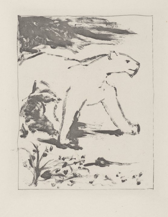 La Lionne (The Lioness) from the portfolio Illustrations for Histoire Naturelle by Buffon