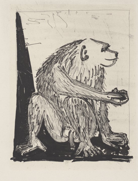 Le Singe (The Monkey) from the portfolio Illustrations for Histoire Naturelle by Buffon