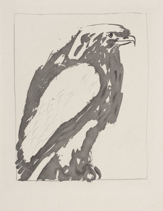 L'Aigle blanc (The White Eagle) from the portfolio Illustrations for Histoire Naturelle by Buffon