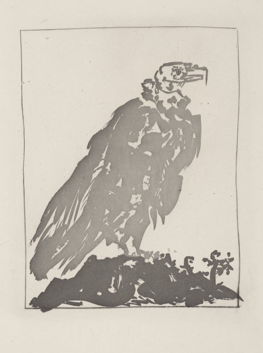 Le Vautour (The Vulture) from the portfolio Illustrations for Histoire Naturelle by Buffon