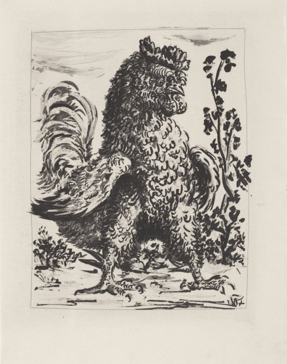 Le Coq (The Rooster) from the portfolio Illustrations for Histoire Naturelle by Buffon