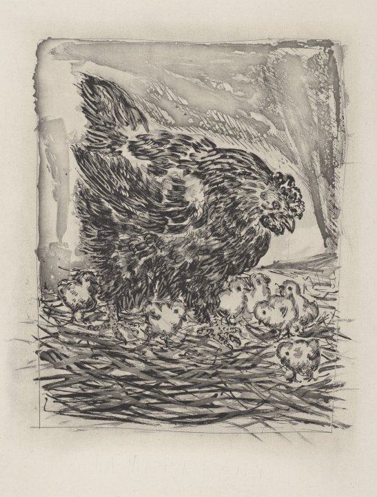 La Mère poule (The Mother Hen) from the portfolio Illustrations for Histoire Naturelle by Buffon