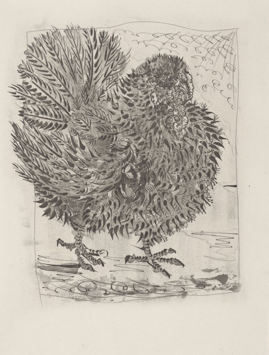 Le Dindon (The Turkey) from the portfolio Illustrations for Histoire Naturelle by Buffon
