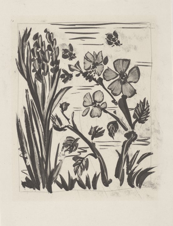 L'Abeille (The Bee) from the portfolio Illustrations for Histoire Naturelle by Buffon