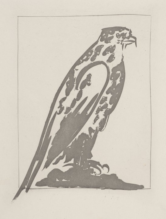 L'Épervier (The Sparrowhawk) from the portfolio Illustrations for Histoire Naturelle by Buffon