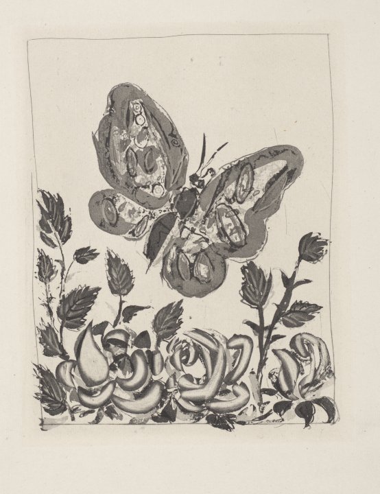 Le Papillon (The Butterfly) from the portfolio Illustrations for Histoire Naturelle by Buffon