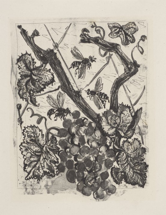La Guêpe (The Wasp) from the portfolio Illustrations for Histoire Naturelle by Buffon
