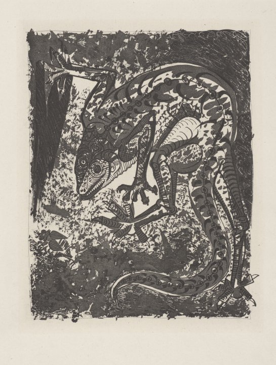 Le Lézard (The Lizard) from the portfolio Illustrations for Histoire Naturelle by Buffon