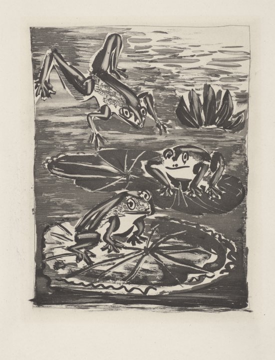La Grenouille (The Frog) from the portfolio Illustrations for Histoire Naturelle by Buffon