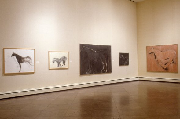 Installation view of Susan Rothenberg: Paintings and Drawings