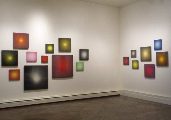 Installation view of In Western New York 1995