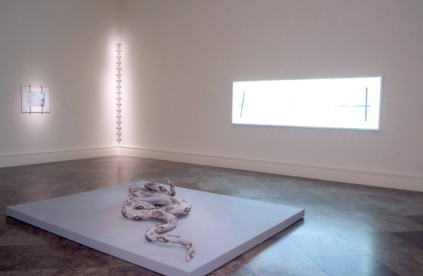Installation view of New Room of Contemporary Art: Cathy De Monchaux