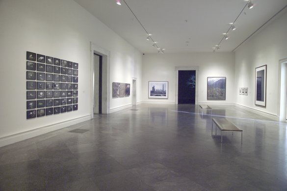 Installation view of In Focus: Themes in Photography