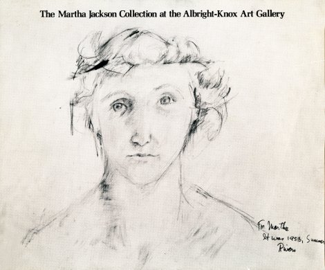 Cover of The Martha Jackson Collection at the Albright-Knox Art Gallery