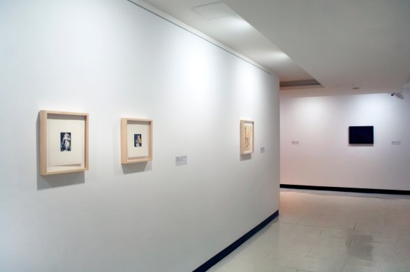 Installation view of Fifty Works for Fifty States: The Dorothy and Herbert Vogel Collection