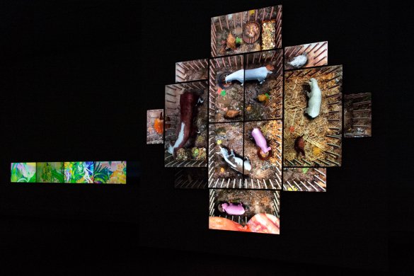Installation view of Screen Play: Life in an Animated World