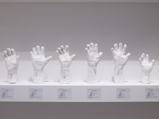 Show lin hotsell