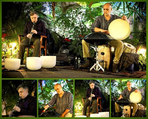 Collage image of two people performing with instruments