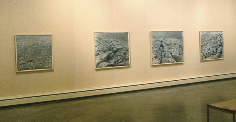 Installation view of Jan Henle: Land and Stone