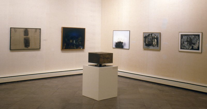 Installation view of Imágenes Líricas/New Spanish Visions